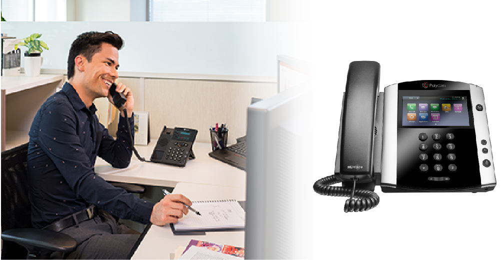 IP Phone, Polycom VVX Series